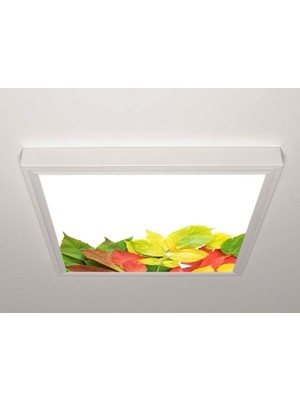 Gök Panel 60X60 LED Panel Sıva Üstü Desenli Tekli 46510995SU