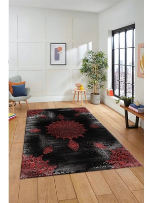 Evdeya Dijital Kaymaz Taban Yıkanabilir Göbekli Modern Yolluk Mutfak Salon Halısı Modern-06-Kırmızı