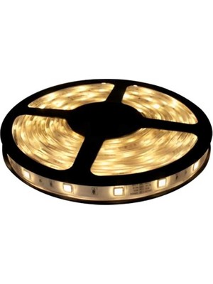 Kendal 5 Metre K2 4040 Günışığı Rengi 3 Çipli 60 Ledli Silikonsuz Iç Mekan Şerit LED KCL005