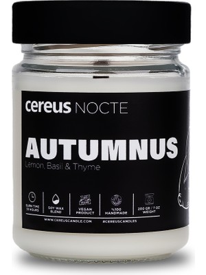 Cereus Nocte Autumnus Lime & Fesleğen Kokulu Soya Mum (210 Gr)