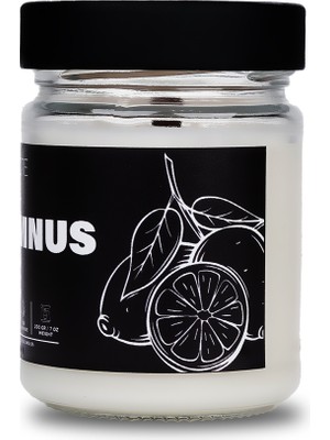 Cereus Nocte Autumnus Lime & Fesleğen Kokulu Soya Mum (210 Gr)