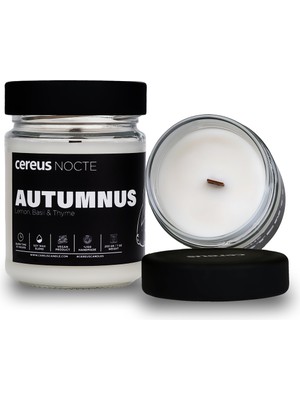 Cereus Nocte Autumnus Lime & Fesleğen Kokulu Soya Mum (210 Gr)