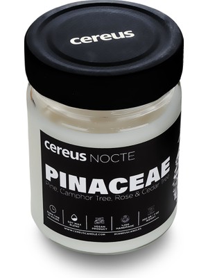 Cereus Nocte Pinaceae Çam Kokulu Soya Mum (210 Gr)