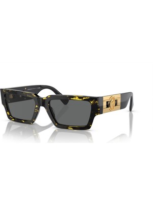 Versace Güneş Gözlüğü VE4459 54 542887