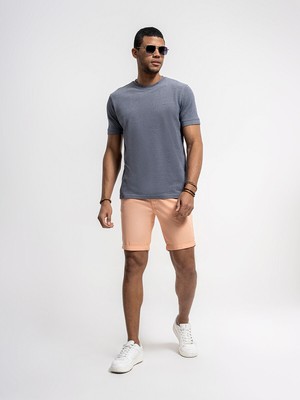 Loft Regular Fit Erkek Şort