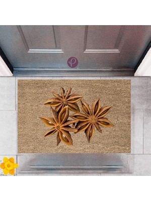 Modfex Kapı Önü Paspası Dekoratif Dijital Baskı Yıldız Çiçeği P-2428