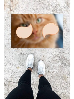 Miraxx Dijital Baskı Renkli Kedili Desen Kapı Önü Paspası K-1034