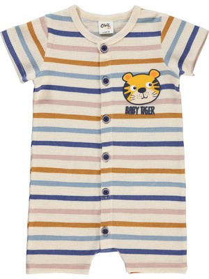 Civil Baby Erkek Bebek Patiksiz Tulum 6-18 Ay Fildişi