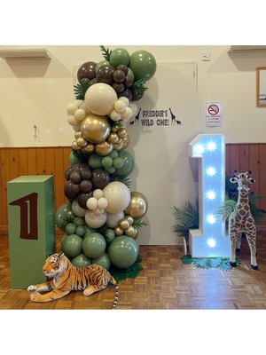 Eğlence Marketi Çikolata Kahve Sütlü Kahve ve Küf Yeşili Balon Zinciri 100 Adet