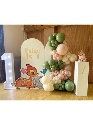 Eğlence Marketi Retro Okaliptus Pink Blush ve Retro Beyaz Balon Zinciri 100 Adet