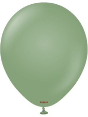 Eğlence Marketi 12 Inç Standart Boy Retro Balon Okaliptus 100 Adet