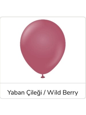 Eğlence Marketi 18 Inç 45 cm Retro Jumbo Balon Yaban Çileği 1 Adet