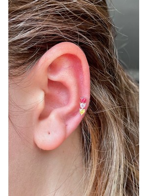 2D2B Nature Renkli Kalp Taşlı Rose Gold Piercing