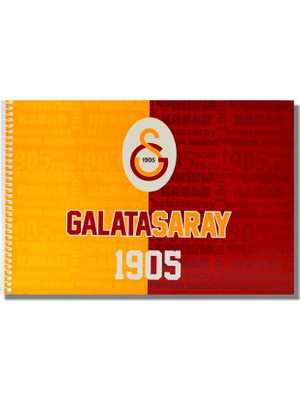 Timon Galatasaray 24X34 15 Yaprak Karton Kapak Spiralli Resim Defteri (463634)