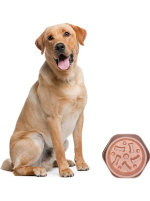 Kenter Market Yavaş Yeme Kabı