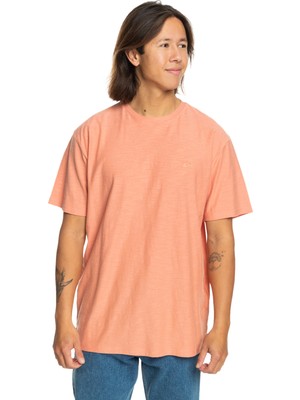 Quiksilver Slub Roundneck Erkek Kahverengi Tshirt EQYKT04337-MJR0