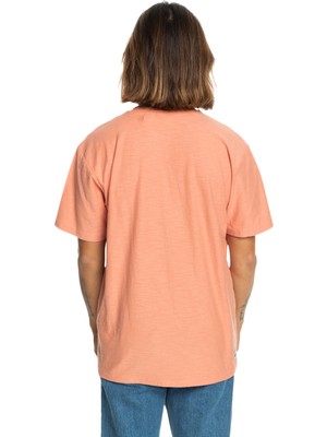 Quiksilver Slub Roundneck Erkek Kahverengi Tshirt EQYKT04337-MJR0