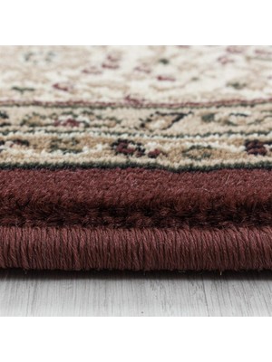 Carpettex Marokan Iran Tarzı Klasik Desenli Halı Bordürlü Salon Halısı Bej Kırmızı Renkli