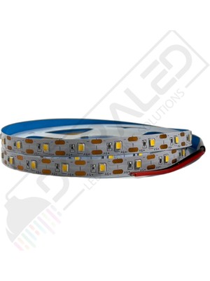 Dora Led 240 Ledli Sık Ledli 12V  Beyaz Şerit LED IP20 (5metre)