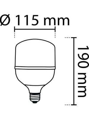 Noas 40W Torch LED Ampul