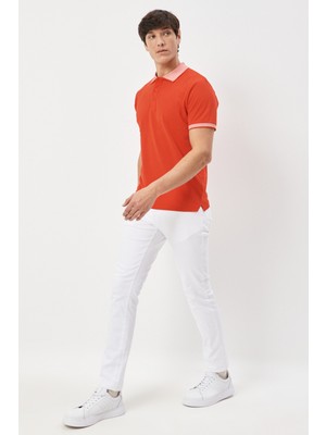 AC&Co / Altınyıldız Classics Erkek Çekmeyen Pamuklu Kumaş Slim Fit Dar Kesim Narçiçeği Kıvrılmaz Polo Yaka Tişört