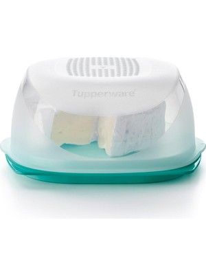 Tupperware Peynir Dünyası Mini Turkuaz