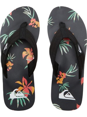 Quiksilver AQYL101339 Molokai Layback Iı Erkek Terlik