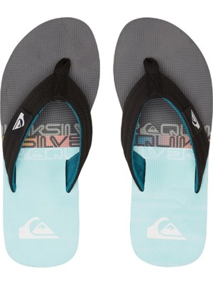 Quiksilver AQYL101339 Molokai Layback Iı Erkek Terlik