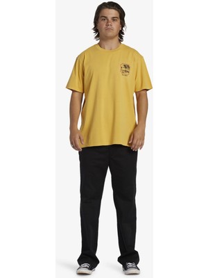 Billabong Reflections Tees Erkek Tişört ABYZT02278