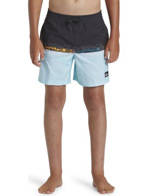 Quiksilver Siyah - Mavi Erkek Şort Mayo AQBJV03051-12814-EVRYDY Wrdblck Vly