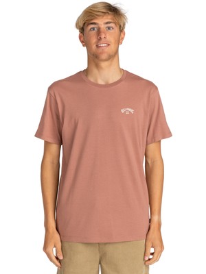 Billabong Açık Kahve Erkek Bisiklet Yaka Regular Fit T-Shirt EBYKT00100_ARCH  Kttp