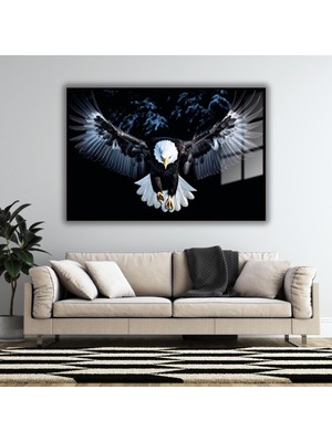 Gaagart Metal Çerçeveli Yatay Cam Tablo Uçan Siyah Beyaz Kartal