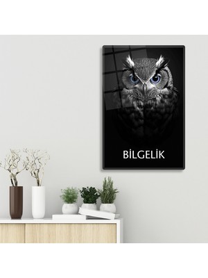 Decorita Cam Tablo | Motivasyon Serisi | Baykuş - Bilgelik | 40CM x 60CM