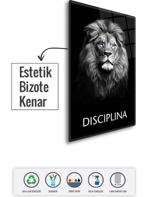 Decorita Cam Tablo | Motivasyon Serisi | Lion - Discipline | 40CM x 60CM