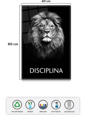 Decorita Cam Tablo | Motivasyon Serisi | Lion - Discipline | 40CM x 60CM