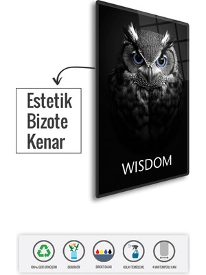 Decorita Cam Tablo | Motivasyon Serisi | Owl - Wisdom | 40CM x 60CM