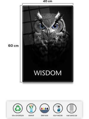 Decorita Cam Tablo | Motivasyon Serisi | Owl - Wisdom | 40CM x 60CM