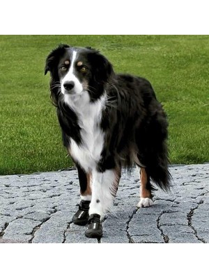 Trixie Köpek Yürüyüş Botu   2 Adet    Xs-S Siyah