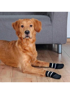 Trixie Köpek Çorabı  Kaymaz L–Xl  2 Adet