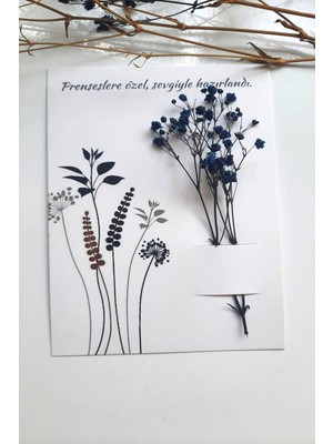 Emtory Home 20'li Buğday Başağı Çiçek Kartı - Tebrik Kartı - Toka Kartı - Özel Kesim Kuşe Kart - (Çiçeksiz)