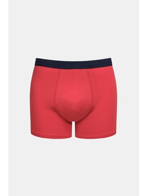 Penti Sailor Çok Renkli 3lü Boxer