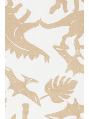 Carter's Erkek Bebek 3lü Set