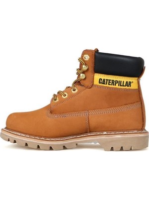 Caterpillar Colorado Bot