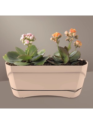 ToXA Modern Balkon Saksısı 5 Litre Bej Latte 35CM Tabaklı Delikli Plastik Saksı No1