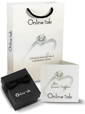 Online Takı Altın Taşlı Mini Yıldız Küpe