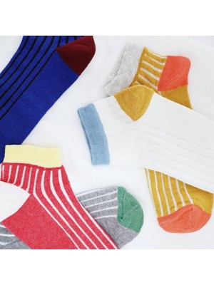 Kral Socks 5 Çift Pamuklu Basic Derbili Kadın Çorap