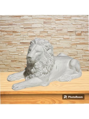 Trend My Pusula Boyama Seti Handmade Aslan Biblo