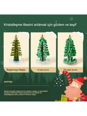 Decisivemicro Sihirli Noel Ağacı Kristal Çocuk Oyuncağı (Yurt Dışından)