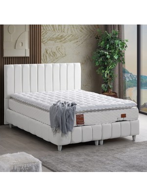 Setay Tek Kişilik Narva Baza Başlık ve Real Pedli Yatak Seti, Beyaz