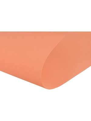 Roco Paper Co. Roco Paper Çiçek Yapım Eva 2 Mm. 50X70 cm - Somon